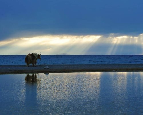 10 Days Lhasa, Everest And Namtso Lake Tour